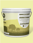 Bucket Mockup 2-02