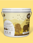 Bucket Mockup 2-05