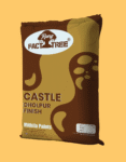 Castle Dholpur Finish