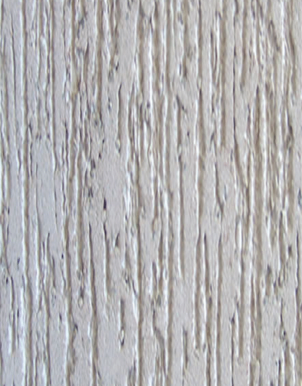 Rustic Texture