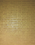 CEMENTUSs