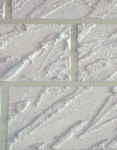 CEMENTUSs