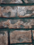 CEMENTUSs