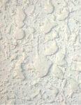 CEMENTUSs